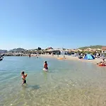 Den Tribalj